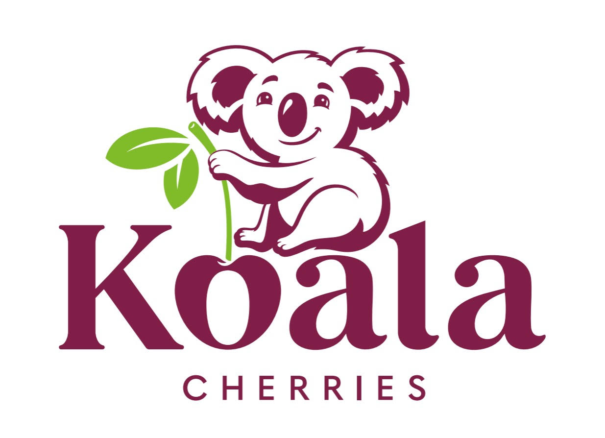 Koala Cherries Beta